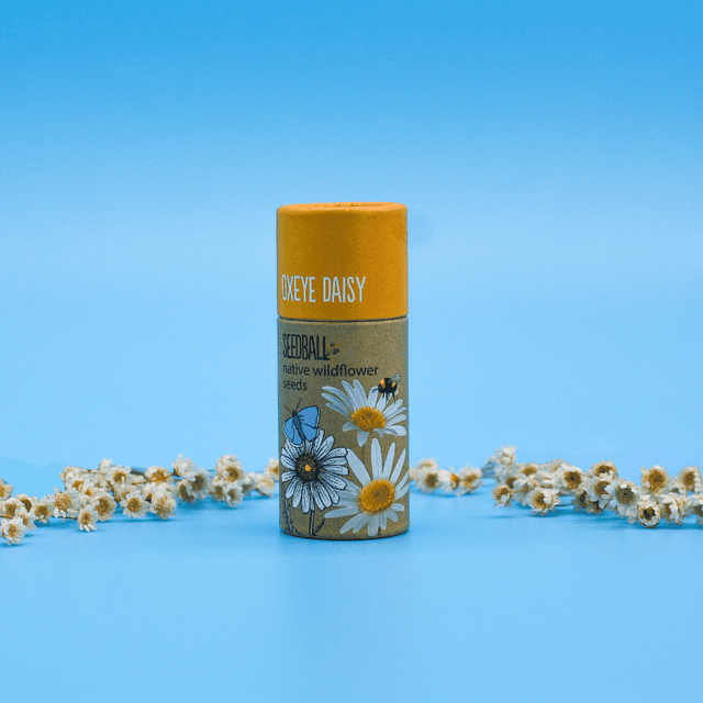 image of Wildflower tube