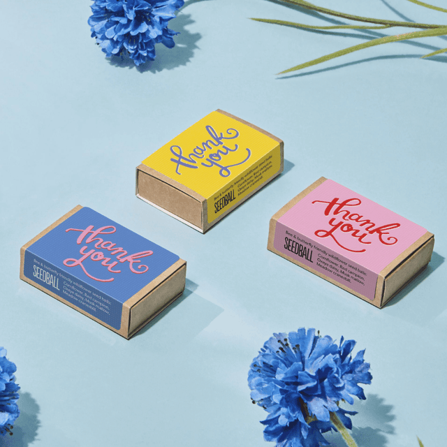 image of Set of 3 seed boxes