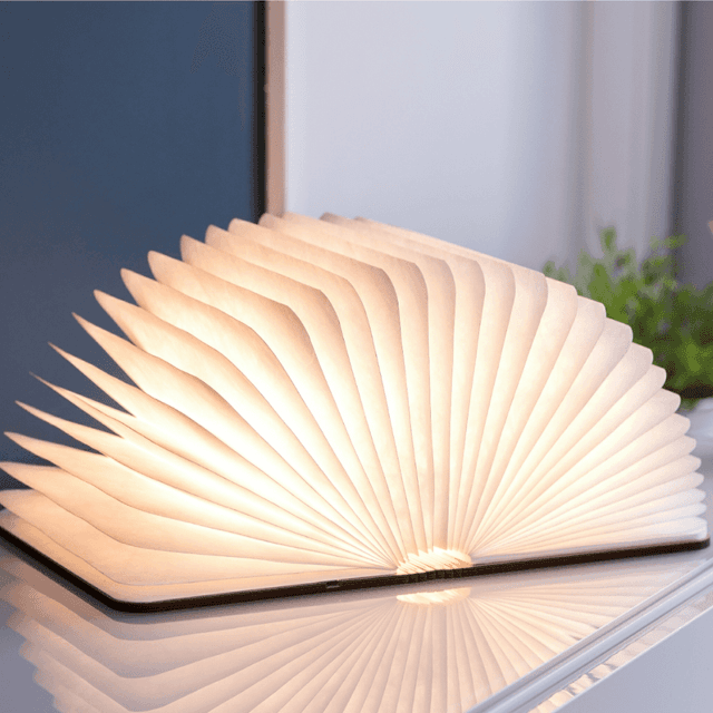image of Smart book light