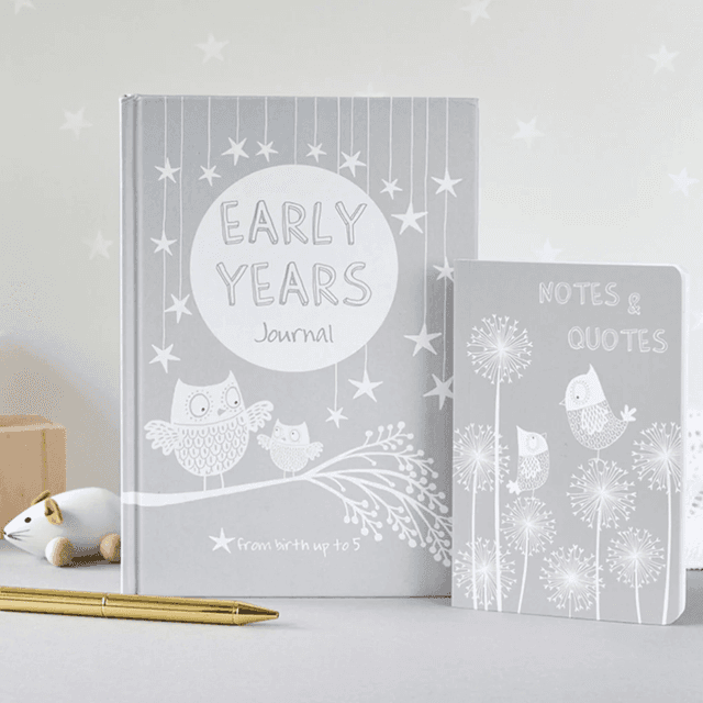 image of Early years journal set