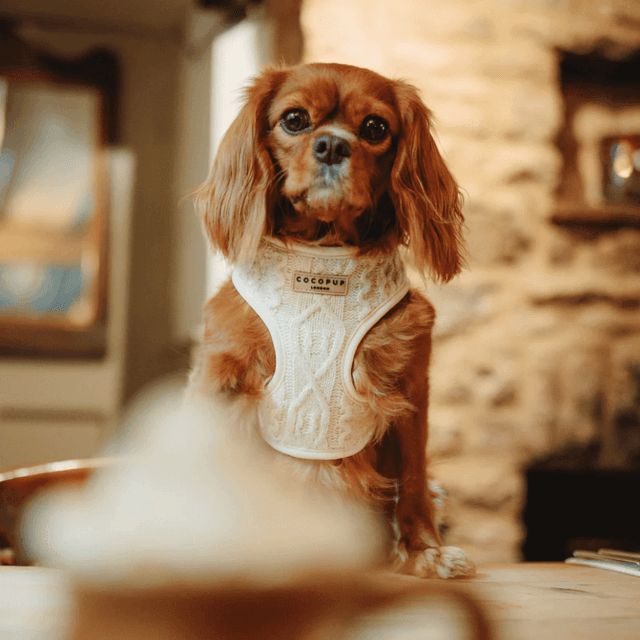 image of Cable knit harness