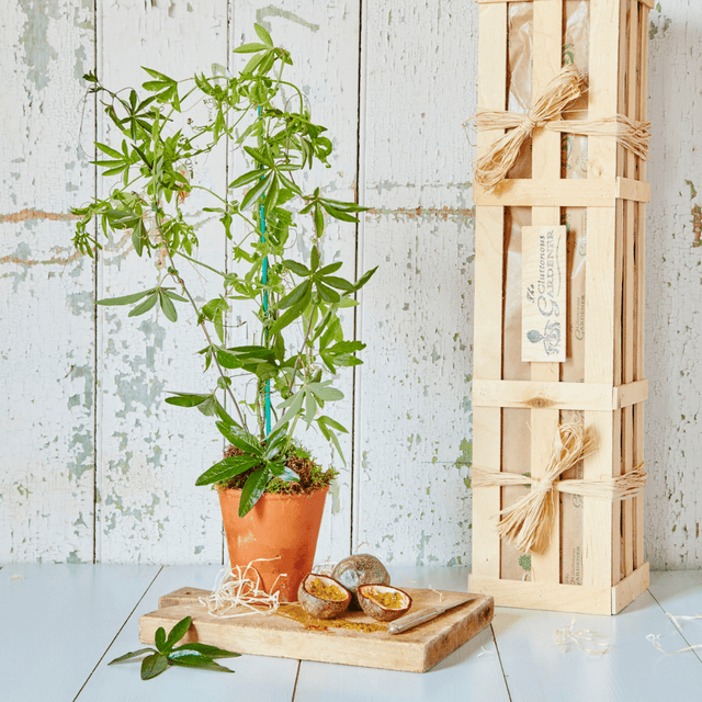 image of Flower crate