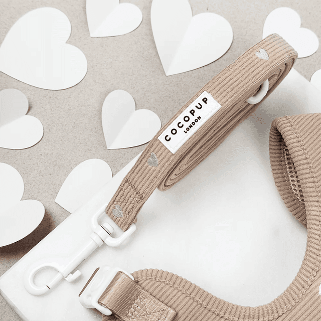 image of Corduroy dog lead