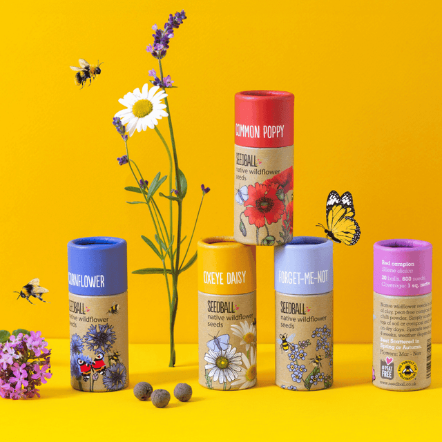 image of Set of 5 wildflower tubes