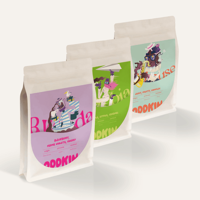 image of Coffee taster pack