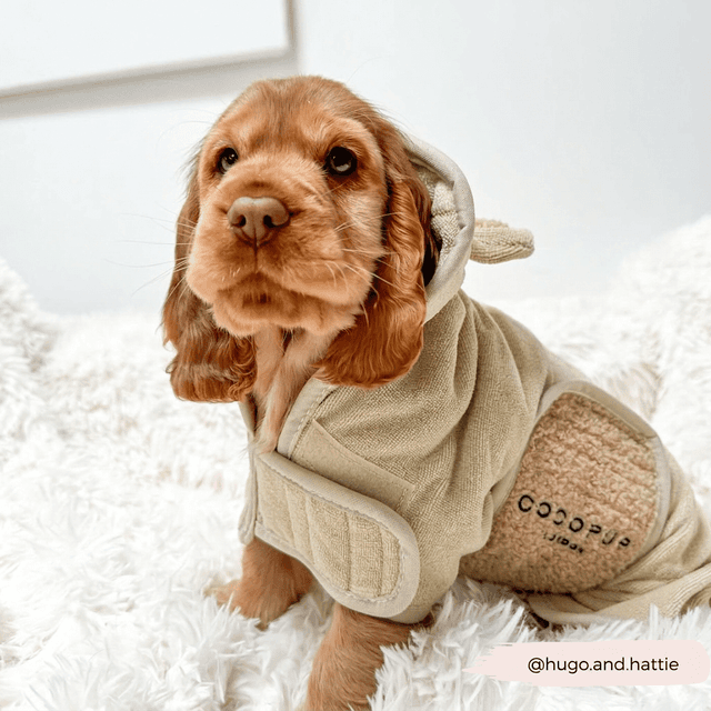 image of Dog drying robe