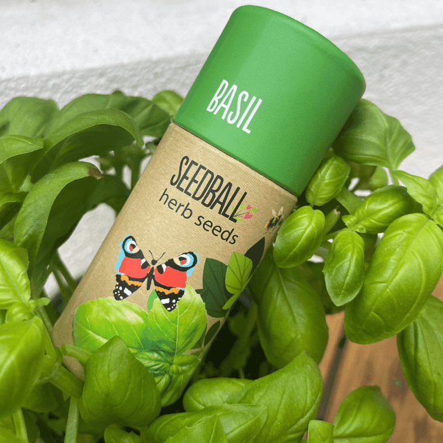image of Herb garden seedballs