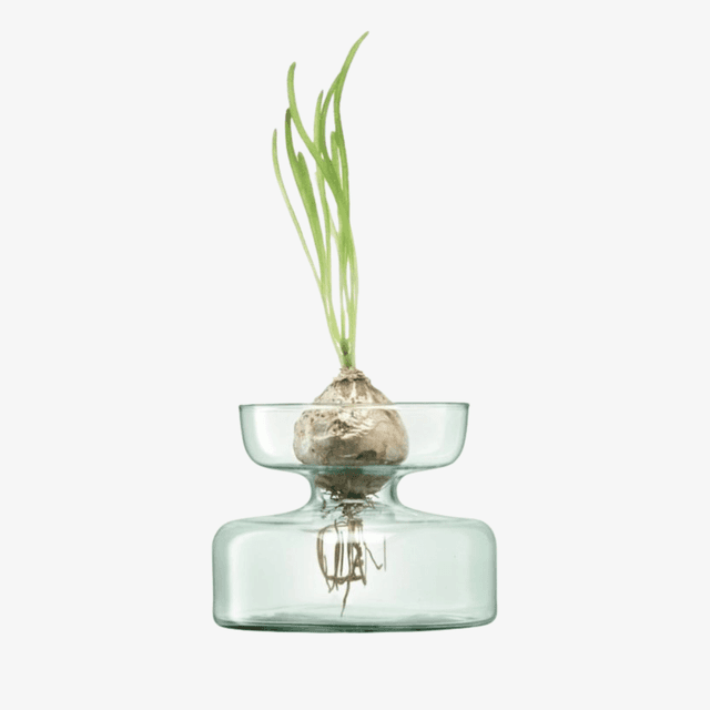 image of Canopy vase or planter