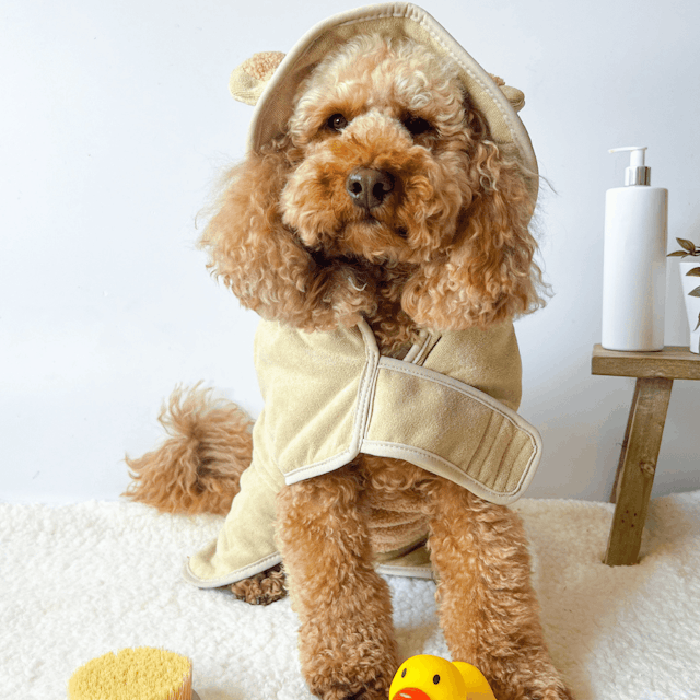 image of Dog robe