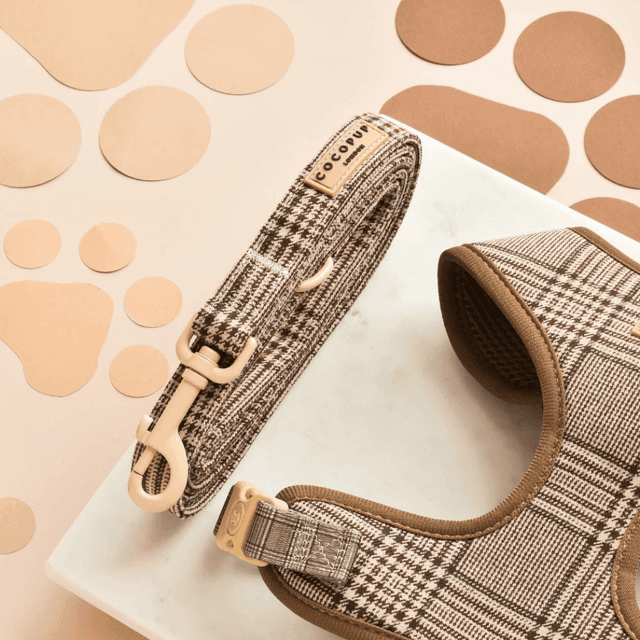 image of Plaid dog lead
