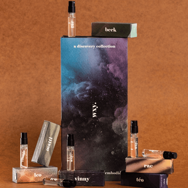 image of EDP discovery set