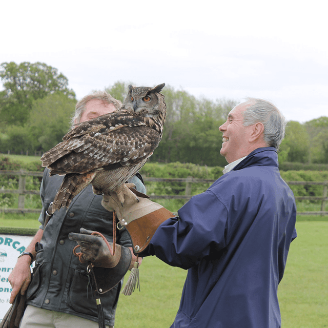 image of Falconry Taster for Two